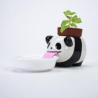 ОПТОМ Панда - Цветочные горшки в виде пьющих животных