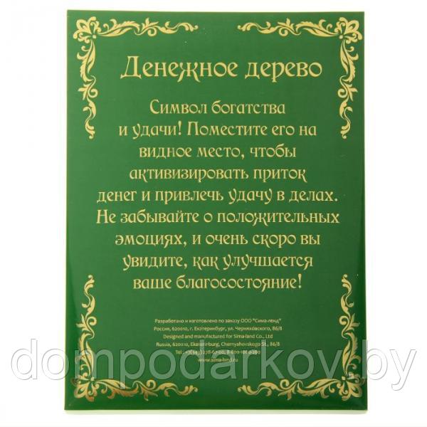 Денежное дерево в рамке "Где голуби летают, там деньги обитают" - фото 5 - id-p76560685