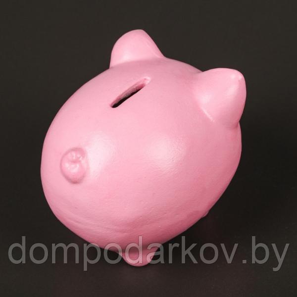 Копилка "Свинка" (Хочу разбогатеть), розовая - фото 3 - id-p76560971