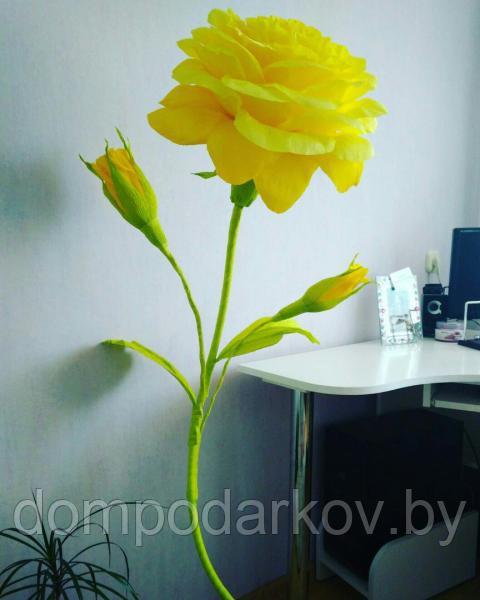 Кустовая роза (yellow) - фото 1 - id-p76561192