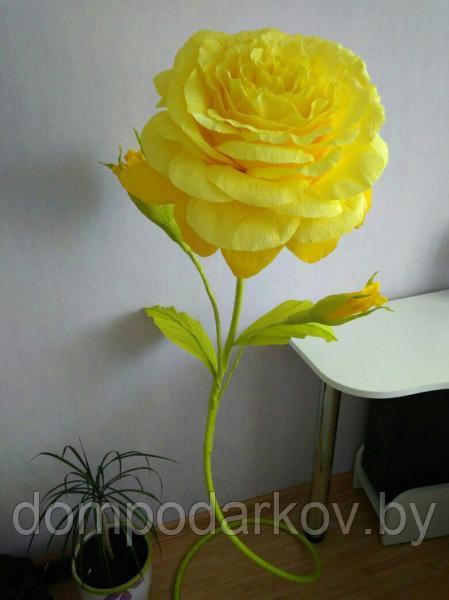 Кустовая роза (yellow) - фото 2 - id-p76561192