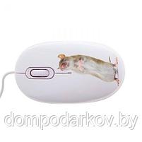 Мышь CBR Capture, оптическая, проводная, 1200 dpi, с ковриком, USB, фото 4