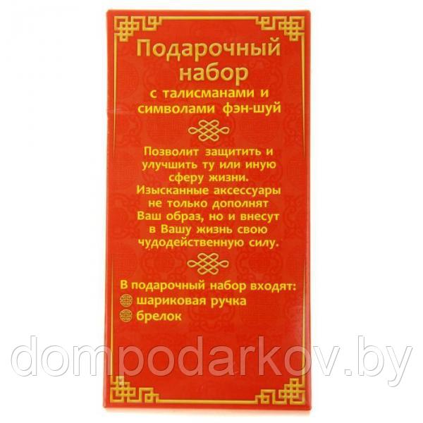 Набор подарочный "Притягиваю деньги, счастье и удачу. Фэн-Шуй": ручка и брелок - фото 5 - id-p76561435