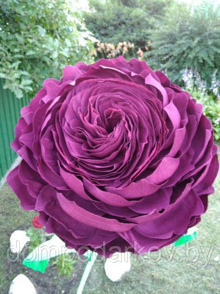 Пионовидная роза (violet) - фото 1 - id-p76561594