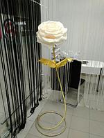 Роза белая (Gold), фото 2