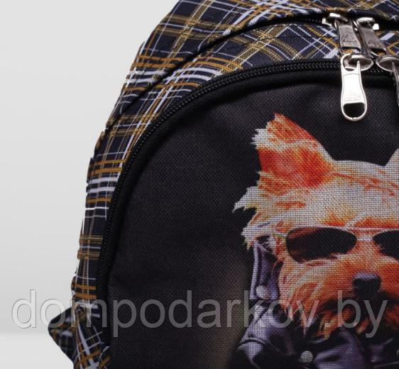 Рюкзак на молнии, 1 отдел, наружный карман, цвет коричневый - фото 4 - id-p76561856