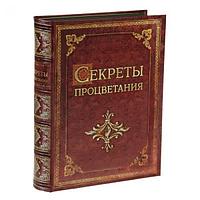 Шкатулка-книга "Секреты процветания"