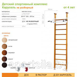 Детский спортивный комплекс Карусель 2Д.03.01