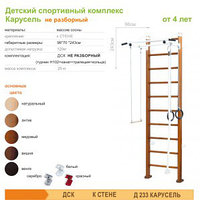 Детский спортивный комплекс Карусель 2Д.03.03 (Д233)