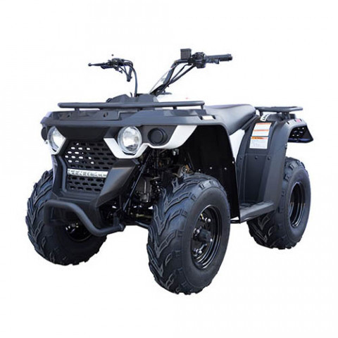 Квадроцикл Linhai Yamaha M150 - фото 1 - id-p76696724