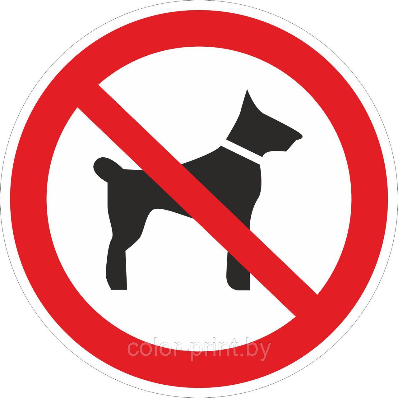 Наклейка ПВХ "Запрещается вход (проход) с животными" 300*300мм