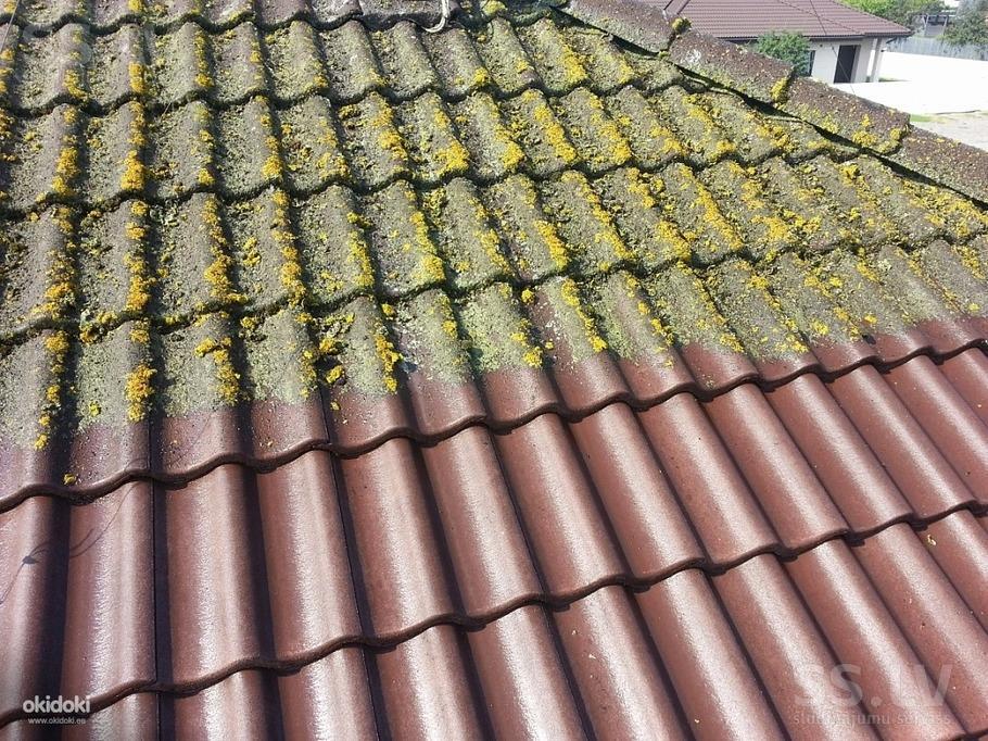 Покраска крыши из металлочерепицы - фото 2 - id-p76826524