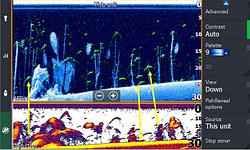 РЕВОЛЮЦИОННАЯ ТЕХНОЛОГИЯ FISHREVEAL ОТ LOWRANCE