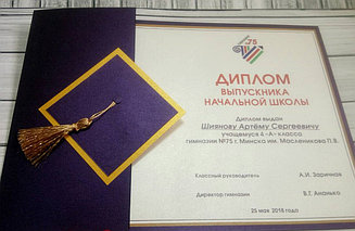 Диплом выпускника