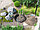 Бордюрная лента Коричневая 15 см х 9 м, толщина 1,7 мм, Беларусь, фото 3