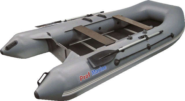 Надувная лодка ProfMarine PM 400 CL