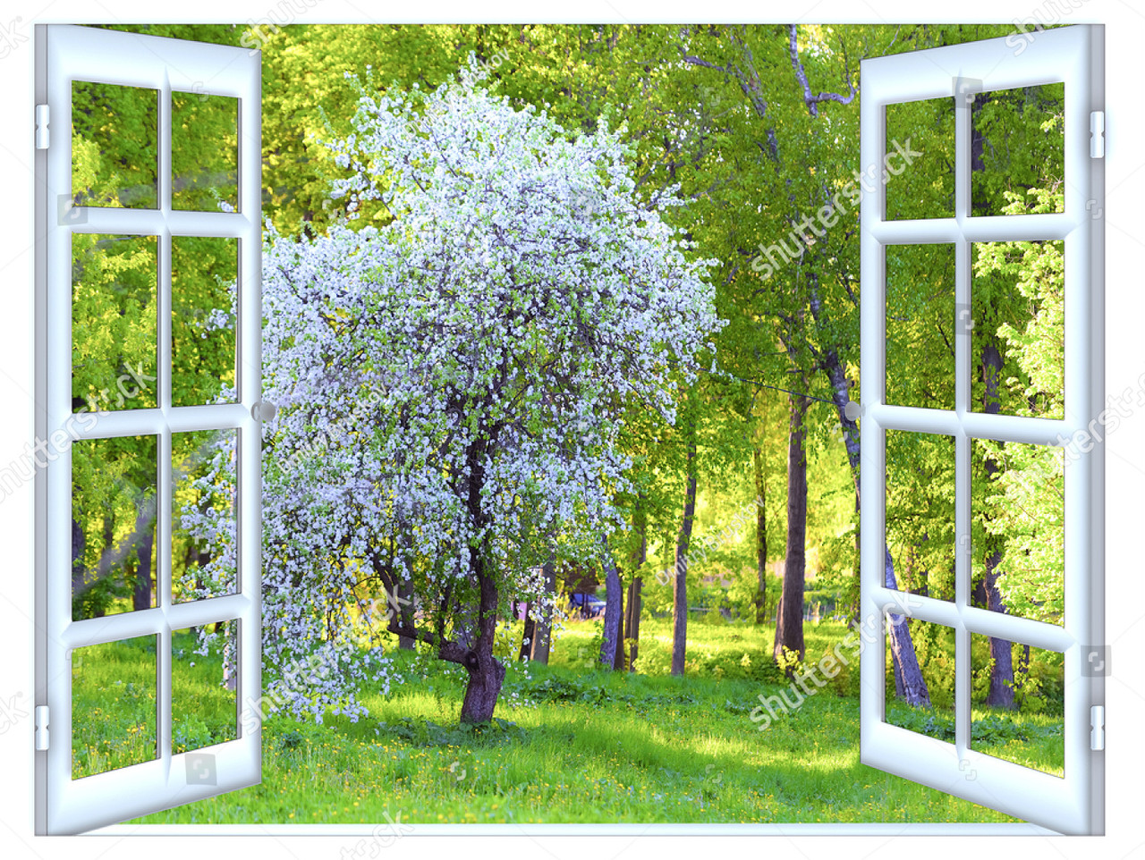 Наклейка на стену Окно, вид за окном, цветущее дерево
