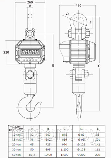 Весы крановые CAS 10THD TWN - фото 2 - id-p3678280