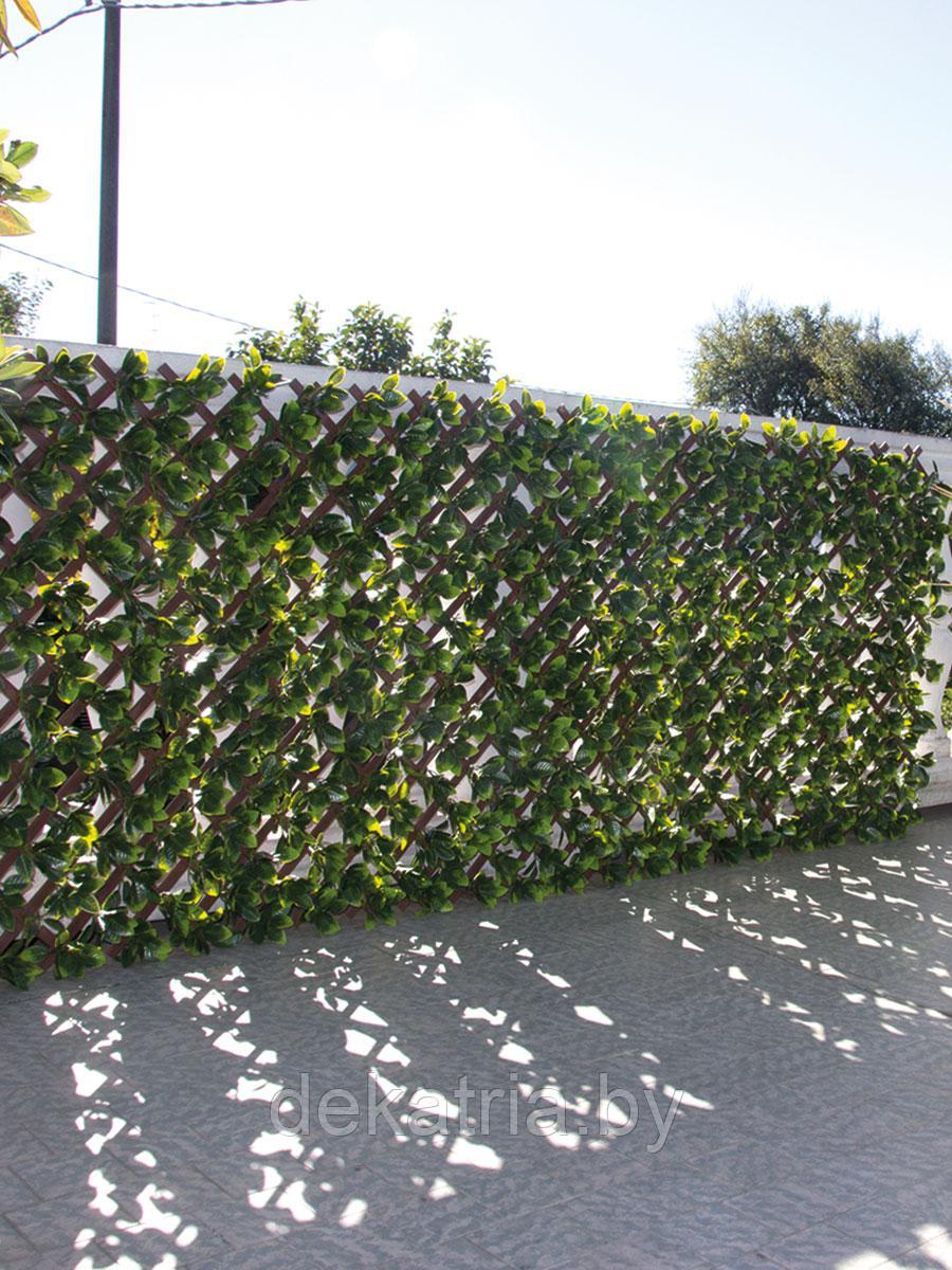 Изгородь с листьями DIVY TRELLIS 3D 1х2м. - фото 1 - id-p77562070