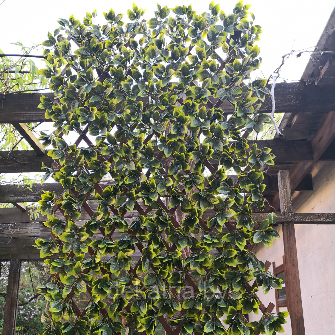 Изгородь с листьями DIVY TRELLIS 3D 1х2м. - фото 3 - id-p77562070