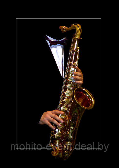 Саксофонист на Ваш праздник - фото 1 - id-p77617717