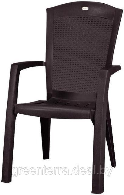 Пластиковый стул Minesota (Минесота), коричневый [209239] - фото 2 - id-p77633819
