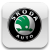 Автомобильные дверные ручки Skoda