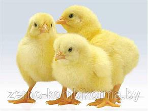 Комбикорм полнорационный для цыплят бройлеров от 25 дней до убоя (25 кг)