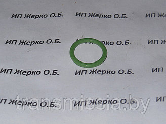 Кольцо уплотнительное силикон теплообменника Д 260  .020-025-30 (ФСИ 65) АО"Строймаш"