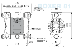 Насос BOXER 81 ALUMINIUM IB81-ALHTAAT--, фото 2