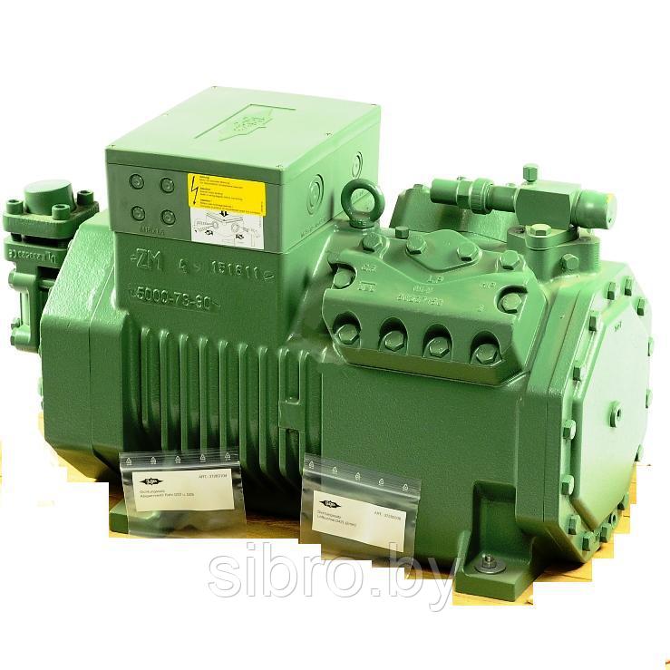 Компрессор BITZER Ecoline 4NES-20Y-40P - фото 1 - id-p78651633