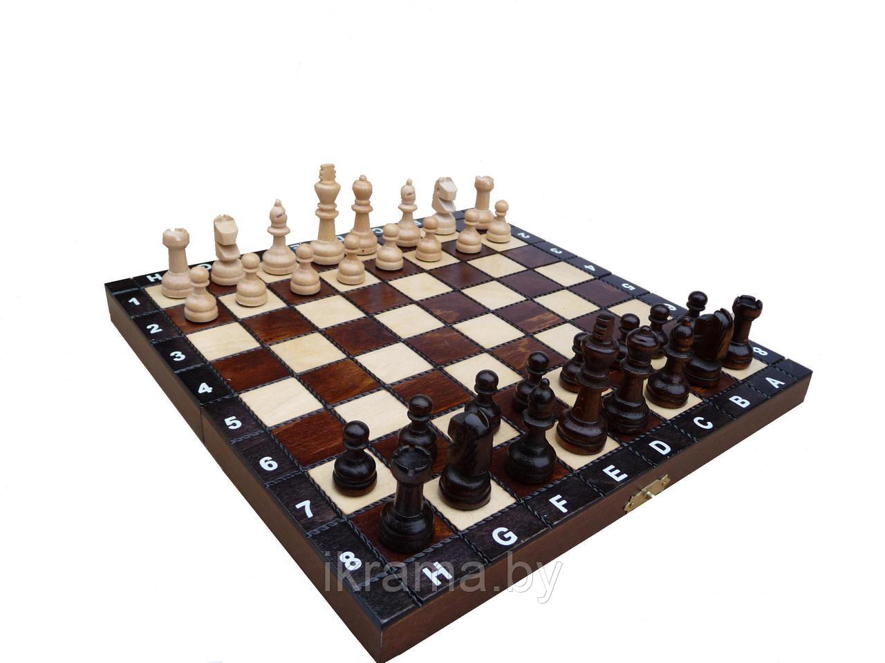 Шахматы ручной работы арт. 154 - фото 1 - id-p78760949