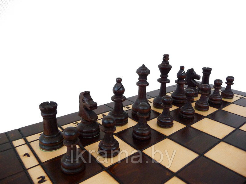 Шахматы+нарды ручной работы арт.141 - фото 3 - id-p78760967