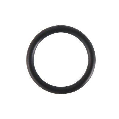 Уплотнительное кольцо VALTEC 22 FPM (Viton) - фото 2 - id-p78761829
