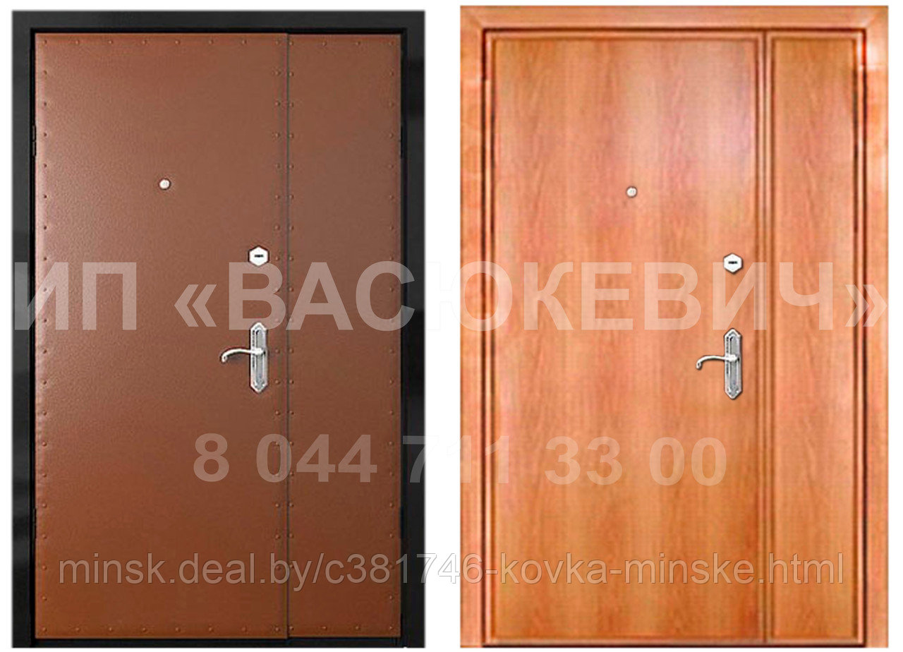 Металлическая Дверь Эко-1 для технических, производственных помещений - фото 4 - id-p59676904
