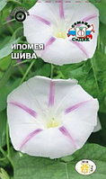 Ипомея ШИВА, 0.5г