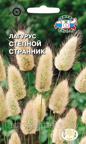 Лагурус СТЕПНОЙ СТРАННИК, 0.1г