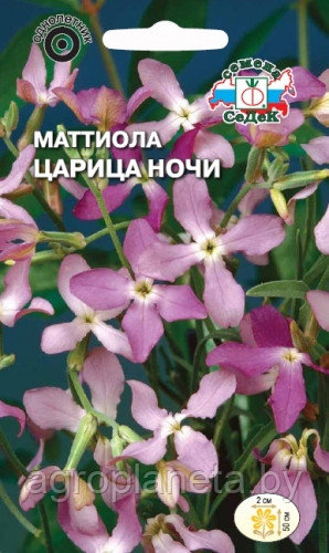 Маттиола (ночная фиалка) ЦАРИЦА НОЧИ, 1г