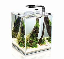 AquaEL SHRIMP SET SMART PLANT 20 (черный), Креветкариум с LED освещением (6 вт)