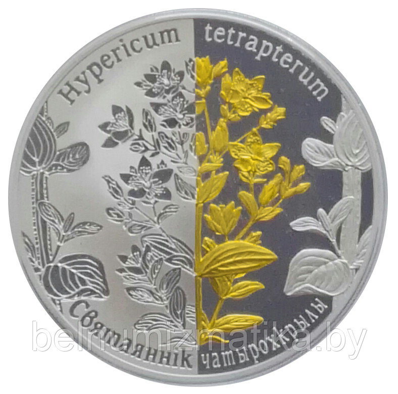 Зверобой четырехкрылый, 20 рублей 2013, серебро #BelCoinArt, фрагментарная позолота - фото 2 - id-p79685622