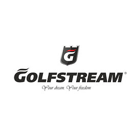 Моторы Golfstream