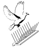 Защитные иглы от птиц, противоприсадочные шипы
