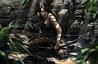 Tomb Raider, фото 4