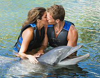 Плавание с дельфинами для пары