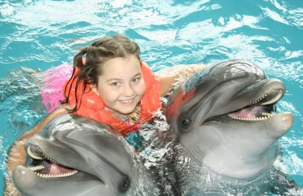 Плавание с дельфинами для пары, фото 1