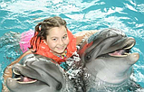 Плавание с дельфинами для пары, фото 4