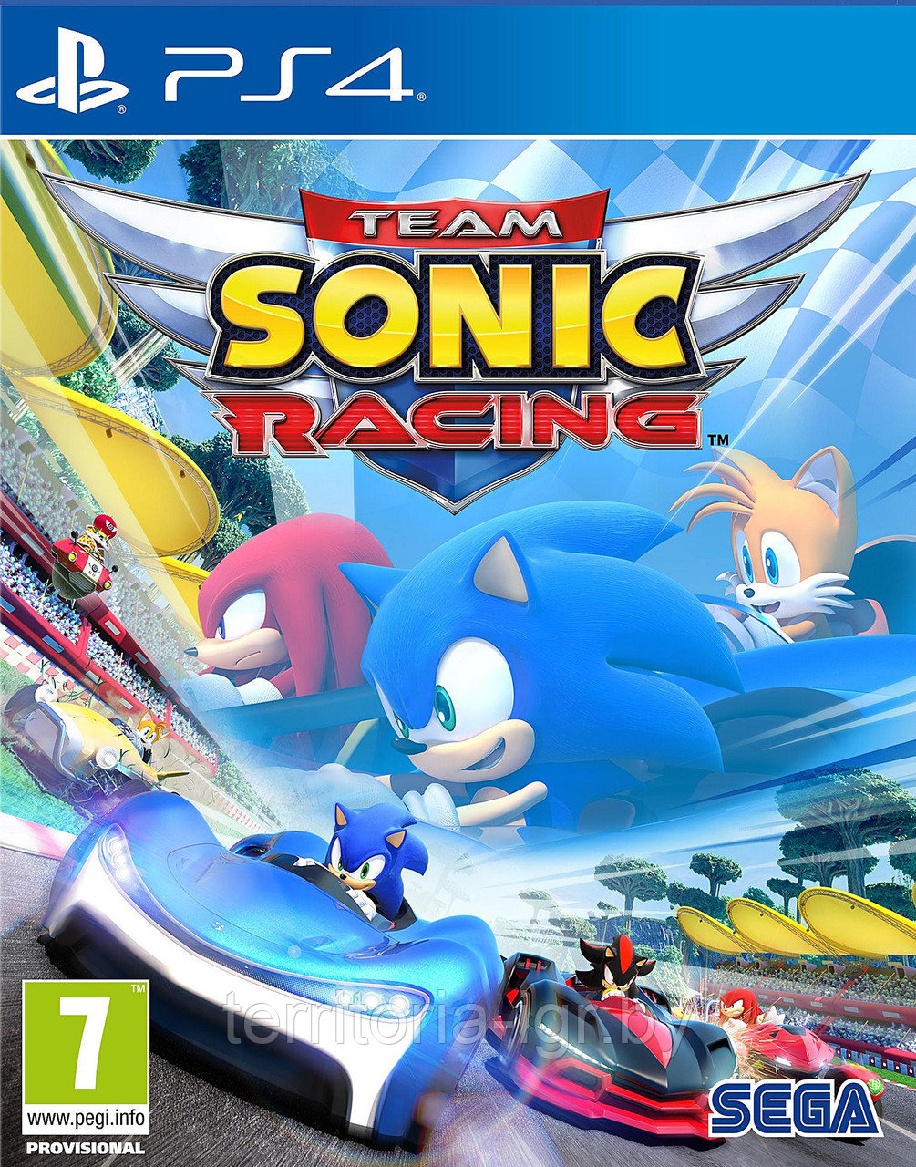 Team Sonic Racing PS4 (Русские субтитры)