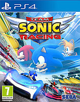 Team Sonic Racing PS4 (Русские субтитры)