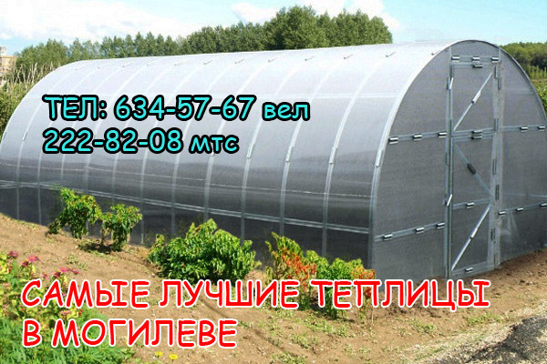 Теплица "Прямостенная 3 Тандем Плюс" Ширина 3 м. Длина 4,6, 8 м и более. Высота 2.2 метра. Сдвоенный профиль - фото 2 - id-p2801934