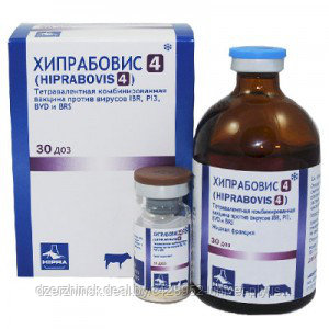 Хипрабовис - 4